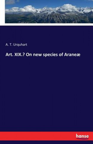 Art. XIX.- On new species of Araneae