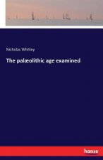 palaeolithic age examined