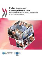 Pallier la penurie d'entrepreneurs 2015