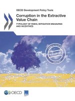 Corruption in the extractive value chain