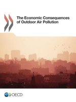 economic consequences of outdoor air pollution