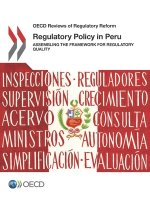 Regulatory policy in Peru