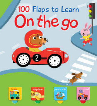 100 Flaps to Learn On the go