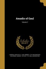 AMADIS OF GAUL V02