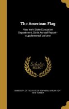 AMER FLAG