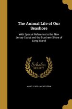 ANIMAL LIFE OF OUR SEASHORE