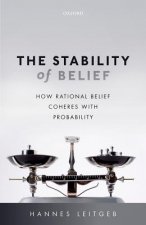 Stability of Belief