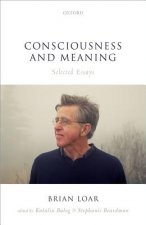 Consciousness and Meaning