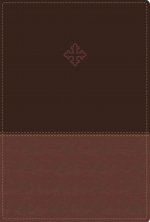 Amplified Study Bible, Leathersoft, Brown