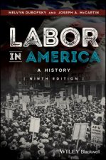 Labor in America - A History 9e