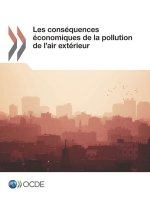 Les Consequences Economiques de la Pollution de l'Air Exterieur