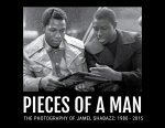 PIECES OF A MAN