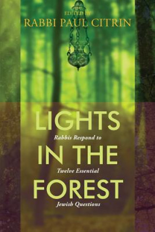 LIGHTS IN THE FOREST