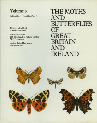 SPHINGIDAE - NOCTUIDAE (NOCTUI
