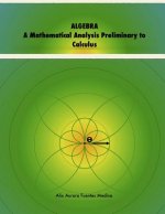Algebra. A Mathematical Analysis Preliminary to Calculus