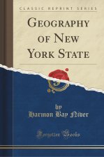 Geography of New York State (Classic Reprint)