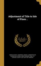 ADJUSTMENT OF TITLE TO ISLE OF