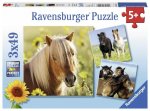 Liebe Pferde. Puzzle 3 x 49 Teile