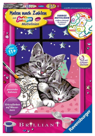 Schlafende Katzen