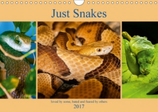 Just Snakes 2017