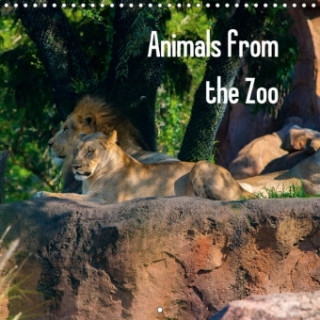 Animals from the Zoo 2017