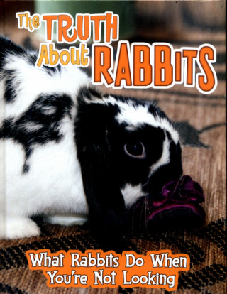 Truth about Rabbits