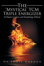'Mystical' TCM Triple Energizer