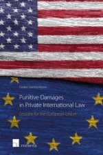 Punitive Damages in Private International Law