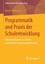 Programmatik Und Praxis Der Schulentwicklung