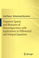 Sequence Spaces and Measures of Noncompactness with Applications to Differential and Integral Equations