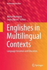 Englishes in Multilingual Contexts