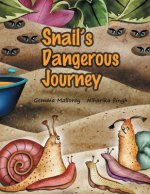 Snail's Dangerous Journey