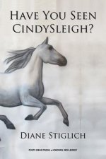 Have You Seen CindySleigh?