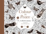 Colour in Peace Postcards: A Reflective Journey