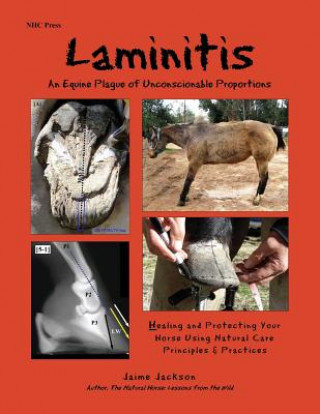 Laminitis: An Equine Plague of Unconscionable Proportions