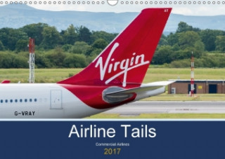 Airline Tails (Wall Calendar 2017 DIN A3 Landscape)
