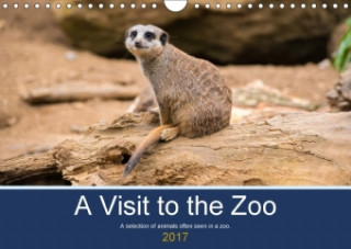 A Visit to the Zoo (Wall Calendar 2017 DIN A4 Landscape)