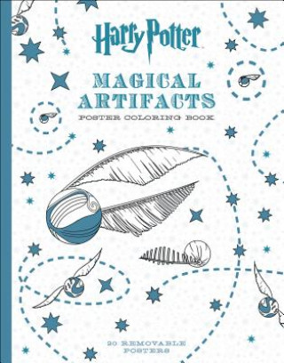 HARRY POTTER MAGICAL ARTIFACTS POSTER CO