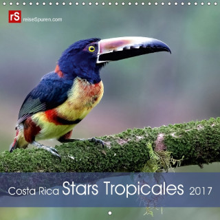 Costa Rica Stars Tropicales (Calendrier mural 2017 300 × 300 mm Square)
