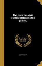 ITA-CAII JULII CAESARIS COMMEN
