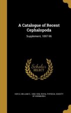 CATALOGUE OF RECENT CEPHALOPOD
