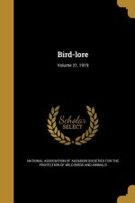 BIRD-LORE V21 1919
