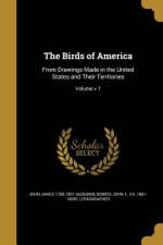 BIRDS OF AMER
