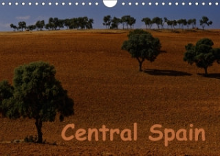 Central Spain (Wall Calendar 2017 DIN A4 Landscape)