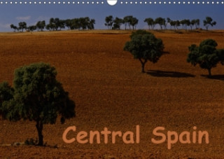 Central Spain (Wall Calendar 2017 DIN A3 Landscape)