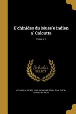FRE-E CHINIDES DU MUSE E INDIE
