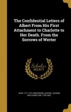 CONFIDENTIAL LETTERS OF ALBERT