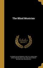 BLIND MUSICIAN