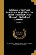 CATALOGUE OF THE FOSSIL REPTIL