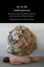 Art in the Anthropocene: Encounters Among Aesthetics, Politi